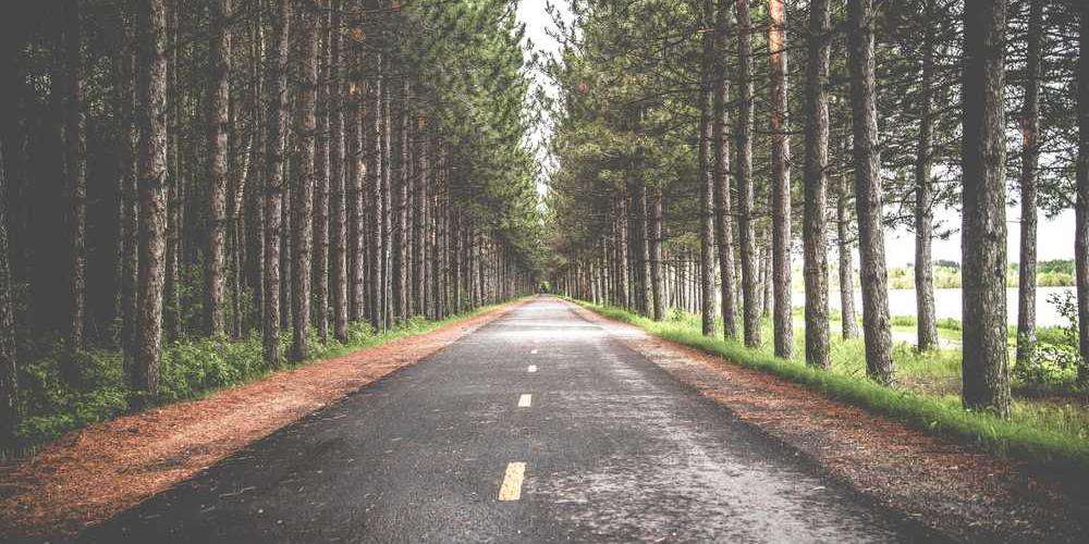 Mini Militia - Doodle Army 2 Official Cover Mini Militia - Doodle Army 2 game cover showing doodle-style soldiers in battle